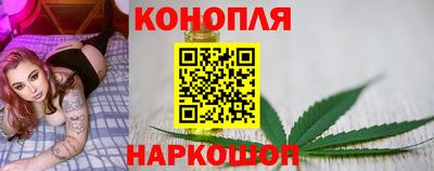 гидра Дубна