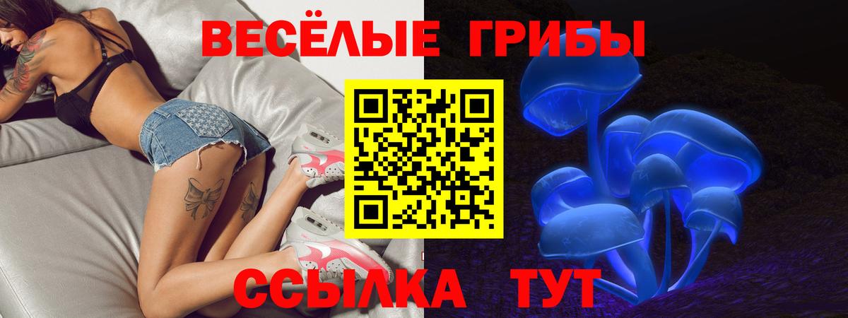 Псилоцибиновые грибы GOLDEN TEACHER  Вход с VPN  Миллерово 
